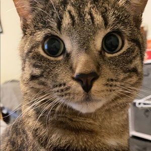 Meet your Posher, Courtney